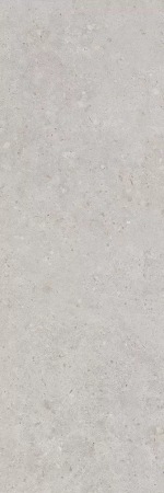 Риккарди серый светлый матовый обрезной 40x120x1