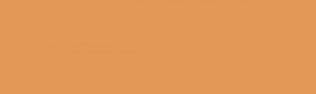 Баттерфляй рыжий глянцевый 8,5x28,5x0,9