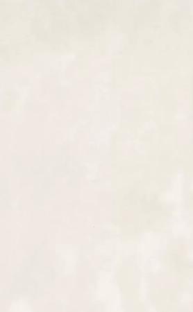 Фоскари бежевый глянцевый 25x40x0,8