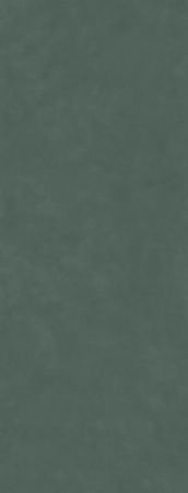 Surface Laboratory/Конкрит зеленый матовый обрезной 119,5x320x1,1