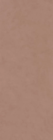 Surface Laboratory/Конкрит коричневый светлый матовый обрезной 119,5x320x1,1