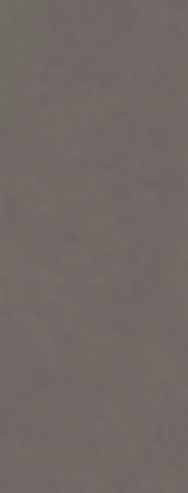 Surface Laboratory/Конкрит коричневый матовый обрезной 119,5x320x0,6