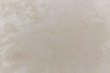 Обои виниловые Экзотика база, светлый бежевый