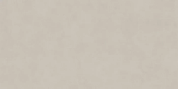 Таделакт серый светлый матовый обрезной 60x119,5x0,9