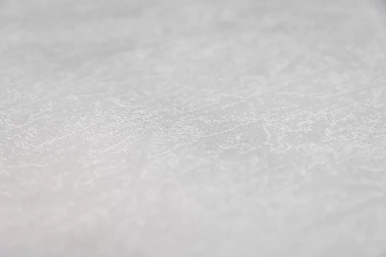 Обои виниловые на флизелиновой основе Ориент база, серый светлый