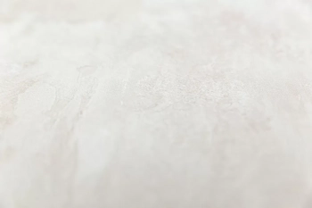 Обои виниловые на флизелиновой основе Венето база универсальная 3, бежевый светлый