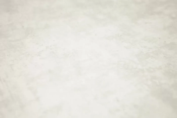 Обои виниловые на флизелиновой основе Трофи база, белый