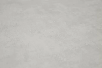 Обои виниловые на флизелиновой основе Трофи база, серый светлый