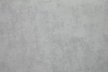 Обои виниловые на флизелиновой основе Трофи база, серый