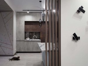 Готовое интерьерное решение для кухни-гостиной — «Терра»